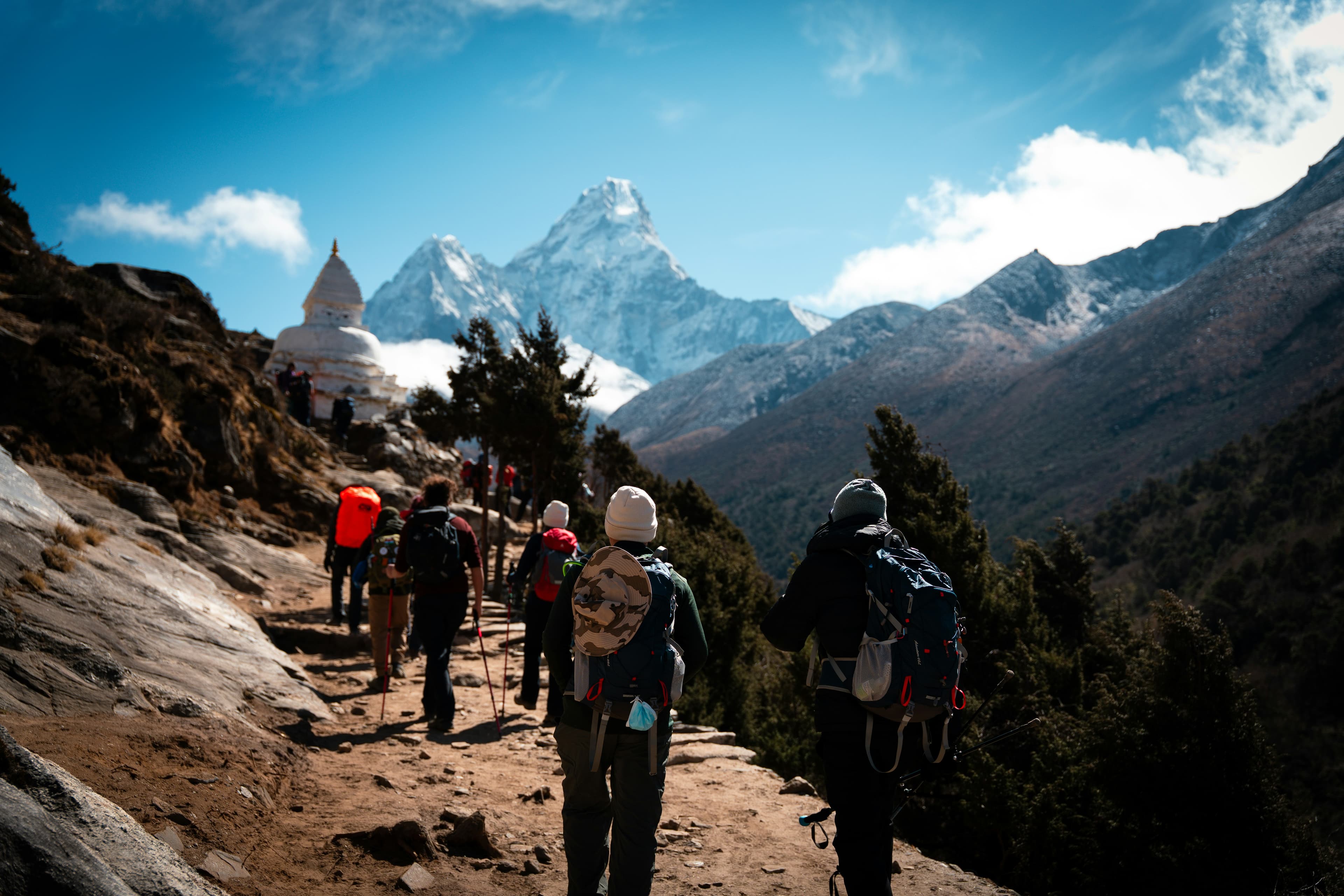 Curated Tours